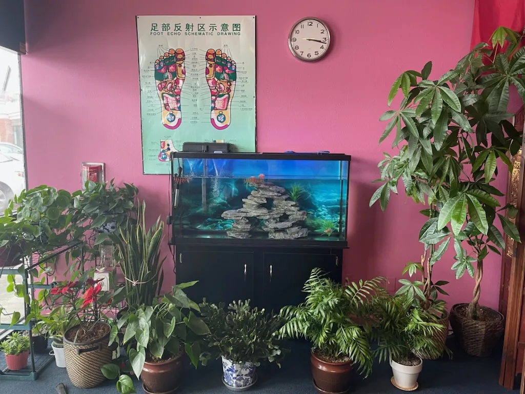 A reflexology chart on the wall beside the aquarium